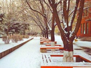 民工与校花小雪在公车上的意外邂逅：一段意想不到的都市故事