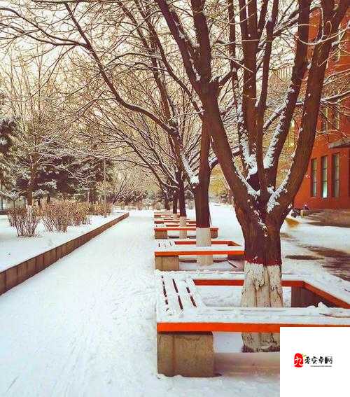 民工与校花小雪在公车上的意外邂逅:一段意想不到的都市故事